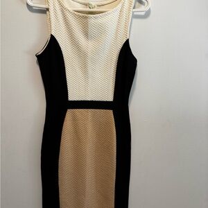 Anthropologie Black and Cream Midi Dress